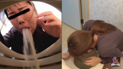 ジェイドネット ゲロ売上ランキング Vol.1